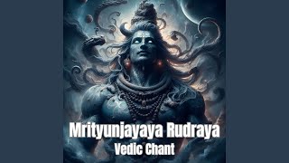 Mrityunjayaya Rudraya  Vedic Chant [upl. by Aryas]