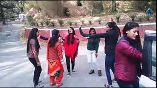 PAHARI NATTI BY SARAJI GIRLS ये लगी नाटी  DainaLand SarajiBlast PahadiSwag [upl. by Asselam367]