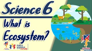 SCIENCE 6 ECOSYSTEM  Grade 6 [upl. by Nilson]