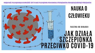 Szczepionka przeciwko COVID19  Jak działa szczepionka mRNA Pfizer  Szczepionka na koronawirusa [upl. by Klinges]