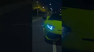 Beauty Awaits You shorts svj aventador lamborghini [upl. by Mat366]