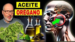 ORTIGA 12 BENEFICIOS REDUCE LA PRÓSTATA USO EN CAIDA DE CABELLO DISFUNCIÓN ERÉCTIL DOLOR ARTICULAR [upl. by Sheldon]