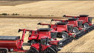 Harvest 2023 🌾CanMar Farms Saskatchewan 🇨🇦 [upl. by Licko]