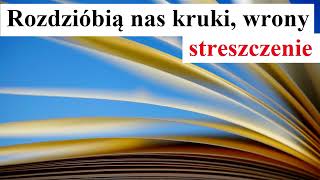 Rozdzióbią nas kruki wrony  streszczenie [upl. by Arahc]