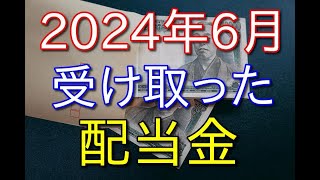 【株式投資】2024年6月に受け取った配当金を全て公開する【36歳の底辺フリーター】 [upl. by Adkins503]