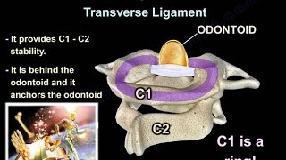 Cervical Spine Trauma  Everything You Need To Know  Dr Nabil Ebraheim [upl. by Aramoj]