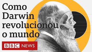 O que é a teoria da evolução de Charles Darwin e o que inspirou suas ideias revolucionárias [upl. by Aneelahs]