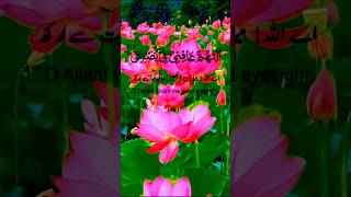 alquran verelvideo quransurahalimranwithurdutranslation love surah 👈 [upl. by Airtemak]