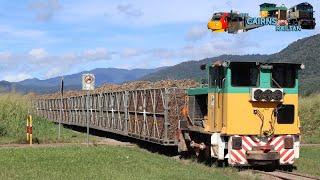 Shunting in the Redlynch Cane Fields  The Cairns Railfan [upl. by Marti513]