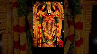 Lord venkateswara swamy devotional songs  namo venkatesha devotionalsong tirumala trending [upl. by Alurd]