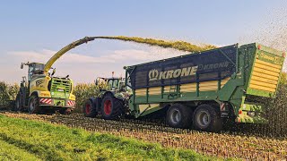 Krone Big X 1180 Maishäckseln Lohnunternehmen Winkels [upl. by Nnylacissej318]