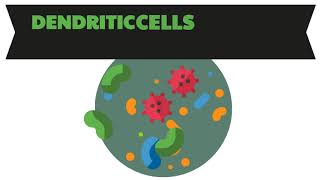 What is Dendritic Cell Therapy By Verita Life [upl. by Graybill]