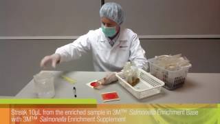 3M™ Petrifilm™ Salmonella Express System 1 [upl. by Dominique]