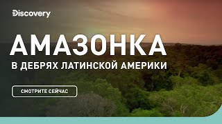 Амазонка  В дебрях Латинской Америки  Discovery Channel [upl. by Renita203]