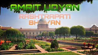 AMRIT UDYAN  RASHTRAPATI BHAVAN  NOIDA INTERNATIONAL UNIVERSITY persident house amritudyan [upl. by Skiest]