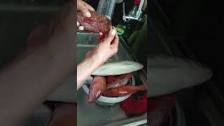 folka dotlapulapu fish shortvideo [upl. by Annay742]