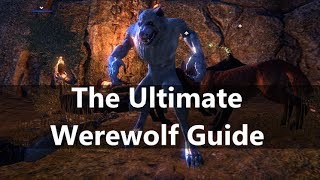 ESO l Ultimate Werewolf Guide all you need to know [upl. by Auqined]