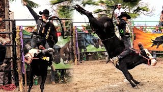 ¡¡¡UN TORO PROMESA Y UN JINETE CON UN FUTURO PROMETEDOR MIL AMORES vs ÁGUILITA JR DE COCOYOC [upl. by Enitsuga]