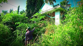 The old couple burst into tears when they returned to their old house after 10 years [upl. by Kissiah1]