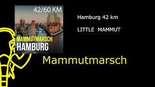 Mammutmarsch Hamburg 2024  42 km [upl. by Ahsyad850]