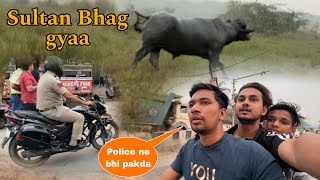 Sultan Bhag Gya  Police Ne Bhi pakadlia  BullRiderVlogs [upl. by Ragg]