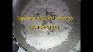 Science experiment Separating mixture by EVAPORATION  Homogeneous solution  SALT WATER [upl. by Falconer803]