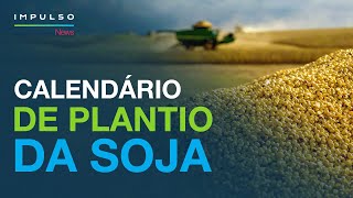 Vazio Sanitário da Soja melhor período para semeadura  Impulso News EP 169 [upl. by Arvy]