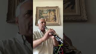 Gigue Mélodie A 12 lygeros music clarinet musicalinstrument viralshort ​⁠ [upl. by Mailliwnhoj]