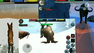 ultimate fox simulator 1 angry walrus vs ultimate arctic simulator gaur boss and elk boss [upl. by Ahsela]