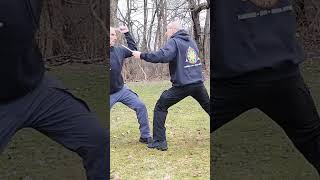 KNIFE VS KNIFE Defang the Snake Filipino Martial Arts shorts [upl. by Mellisent]