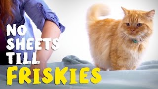 No Sheets Till Friskies® [upl. by Fabozzi394]