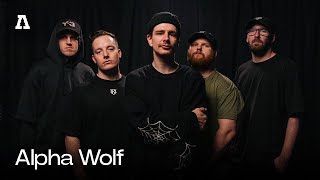 Alpha Wolf on Audiotree Live Full Session [upl. by Econah619]