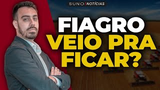 Fiagro veio para ficar Bruno Lund CIO da Ecoagro explica sua estratégia com o EGAF11 [upl. by Auahsoj853]