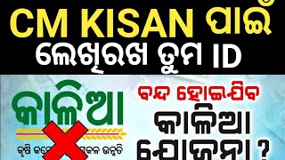 Cm kishan yojana beneficiary New List 202425 odisha  Cm kisan yojana online apply Cm kisan kalia [upl. by Willie328]