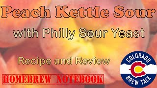 Homebrewed Peach Kettle Sour with Philly Sour Yeast Recipe and Review [upl. by Delmar679]