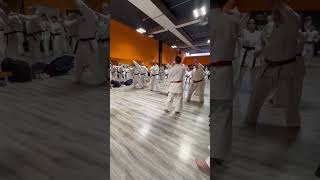 IKO Goju Ryu Italy  Rome Seminar February 2024 Part 2 [upl. by Selym]