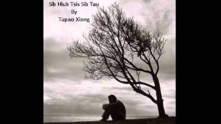 Tupao Xiong  Sib Hlub Tsis Sib Tau Cover [upl. by Abner]