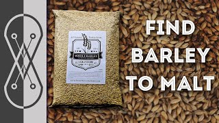 How To Find Raw Barley So You Can Malt Your Own [upl. by Keryt]