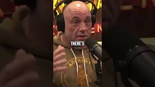 Joe Rogan Reveals the Best Diet🥩 [upl. by Kennith513]