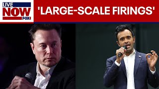 Musk amp Ramaswamy float ending remote work for federal employees  LiveNOW from FOX [upl. by Malvia22]