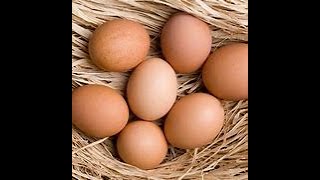 The Benefits of Organic PastureRaised Eggs Why They’re Worth the Switch [upl. by Esmerolda]