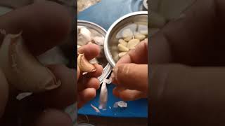 Peeling garlic farming [upl. by Anitahs]