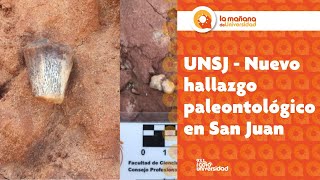 UNSJ  Nuevo hallazgo paleontológico en San Juan [upl. by Cinelli]