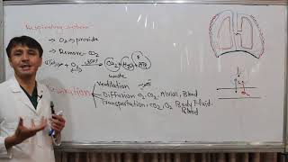 Respiratory system Pulmonary ventilation Lecture 1  فزیولوژی سیستم تنفسی تهویه ریوی [upl. by Cagle]