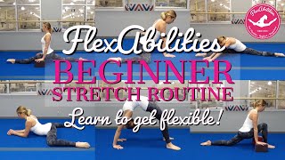 Learn to get FLEXIBLE  Beginner Stretch Routine [upl. by Primrose]