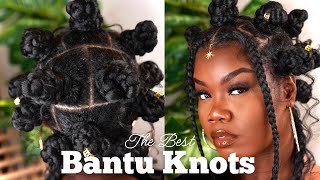 Bantu Knots Protective Style On Natural Hair  Janet Collection Braiding Hair [upl. by Herrick]