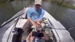 Tuckasegee River Drift Boat Fly Fishing Brown Trout [upl. by Ybbed]