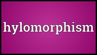 Hylomorphism Meaning [upl. by Leontyne5]