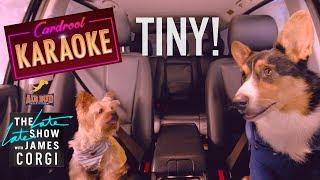 Pup Star Tiny Carpool Karaoke Cardrool Karaoke [upl. by Jozef254]