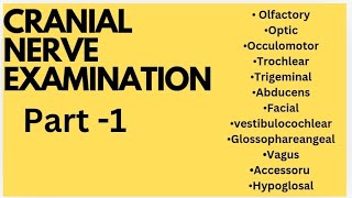 Cranial Nerve Examination [upl. by Nemzzaj]